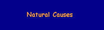 Natural Causes